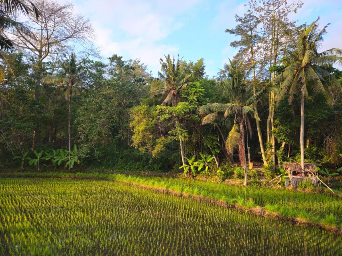 Pondok Diana Yuki Jasri Extérieur photo